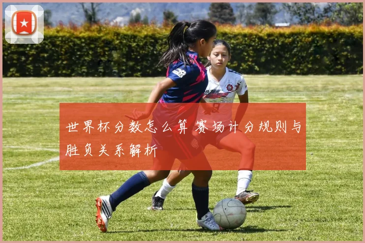世界杯分数怎么算 赛场计分规则与胜负关系解析