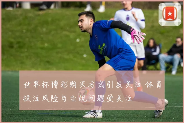 世界杯博彩购买方式引发关注 体育投注风险与合规问题受关注