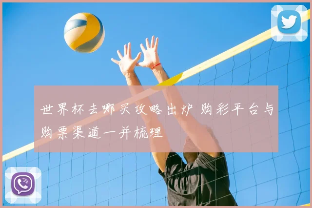 世界杯去哪买攻略出炉 购彩平台与购票渠道一并梳理