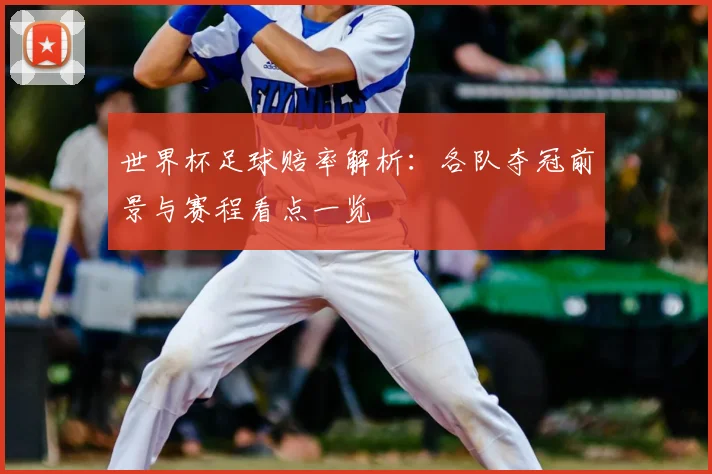 世界杯足球赔率解析:各队夺冠前景与赛程看点一览