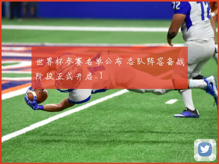 世界杯参赛名单公布 各队阵容备战阶段正式开启_1