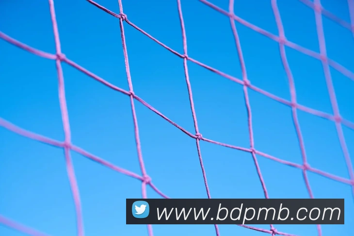 App Interface Preview